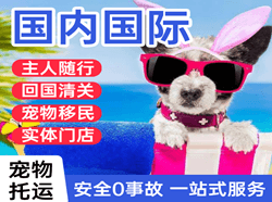 太平空运公司国际宠物托运 【国